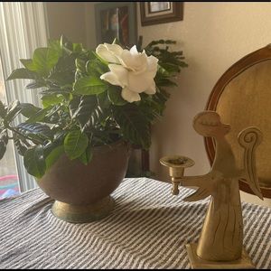 Meet your Posher, Posh